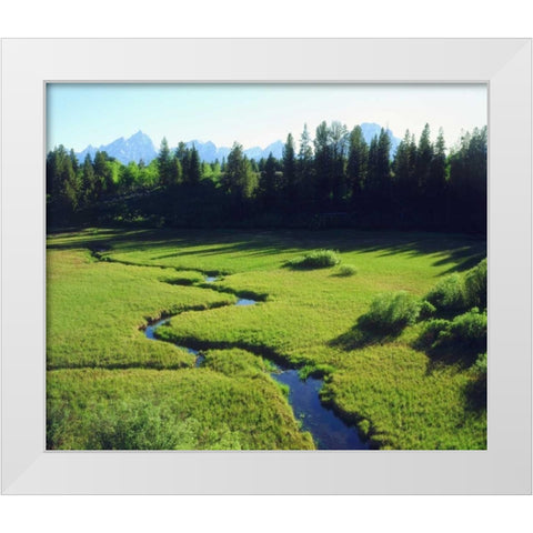 WY, Grand Tetons Grand Tetons and a lush meadow White Modern Wood Framed Art Print by Talbot Frank, Christopher