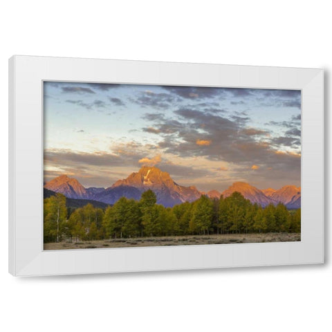 WY Mount Moran and Teton Range at sunrise White Modern Wood Framed Art Print by Paulson, Don