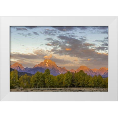 WY Mount Moran and Teton Range at sunrise White Modern Wood Framed Art Print by Paulson, Don