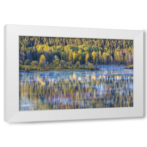 WY, Grand Tetons Swans and forest reflection White Modern Wood Framed Art Print by Paulson, Don