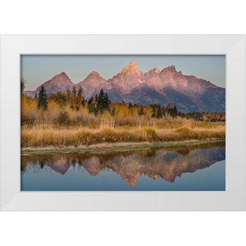 USA-Wyoming-Grand Teton National Park Grand Teton Mountains reflect in lake White Modern Wood Framed Art Print by Jaynes Gallery