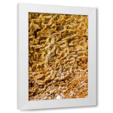 USA-Wyoming-Yellowstone National Park-Black Sand Basin-Detail of colorful thermophile bacteria mat White Modern Wood Framed Art Print by Hopkins, Cindy Miller