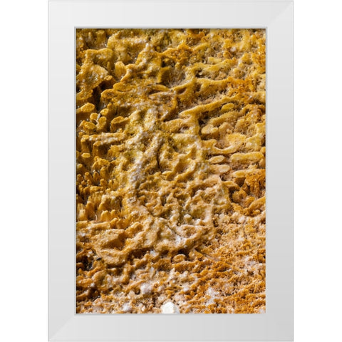 USA-Wyoming-Yellowstone National Park-Black Sand Basin-Detail of colorful thermophile bacteria mat White Modern Wood Framed Art Print by Hopkins, Cindy Miller