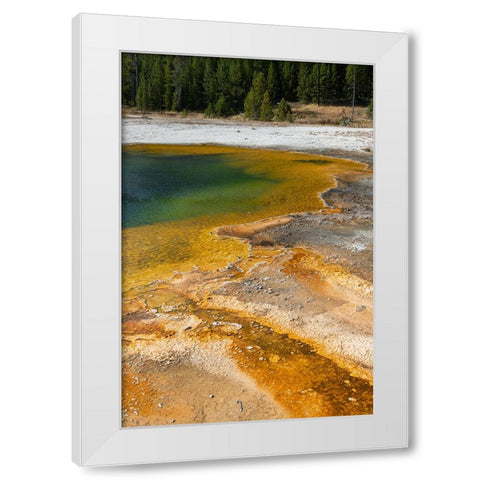 USA-Wyoming-Yellowstone National Park-Black Sand Basin-Emerald Pool-Green pool with yellow thermopi White Modern Wood Framed Art Print by Hopkins, Cindy Miller