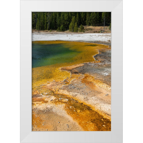 USA-Wyoming-Yellowstone National Park-Black Sand Basin-Emerald Pool-Green pool with yellow thermopi White Modern Wood Framed Art Print by Hopkins, Cindy Miller