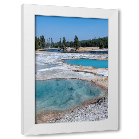 USA-Wyoming-Yellowstone National Park-Biscuit Basin-Black Diamond Pool White Modern Wood Framed Art Print by Hopkins, Cindy Miller