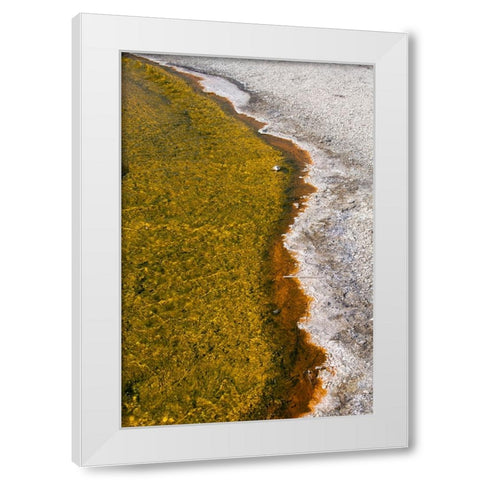 USA-Wyoming-Yellowstone National Park-Biscuit Basin-Sapphire Pool-colorful thermophile river and ba White Modern Wood Framed Art Print by Hopkins, Cindy Miller