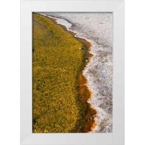 USA-Wyoming-Yellowstone National Park-Biscuit Basin-Sapphire Pool-colorful thermophile river and ba White Modern Wood Framed Art Print by Hopkins, Cindy Miller