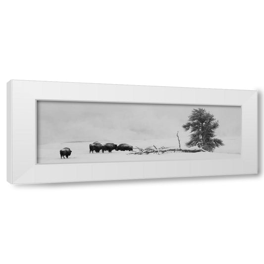 Perspective Image