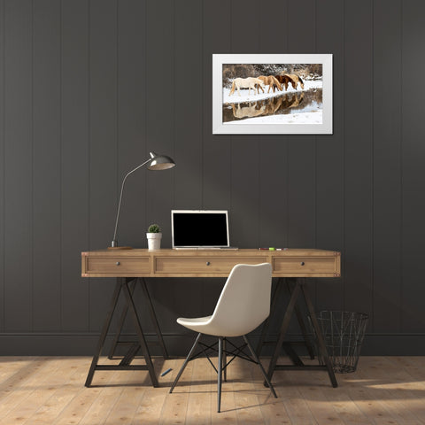 USA- Shell- Wyoming. Hideout Ranch horses in reflection Shell Creek.  White Modern Wood Framed Art Print by Gulin, Darrell