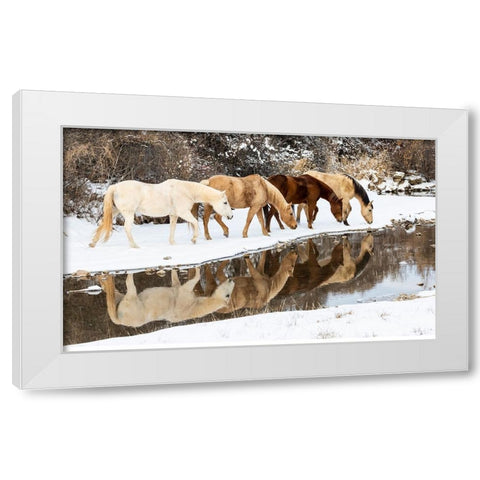 USA- Shell- Wyoming. Hideout Ranch horses in reflection Shell Creek.  White Modern Wood Framed Art Print by Gulin, Darrell