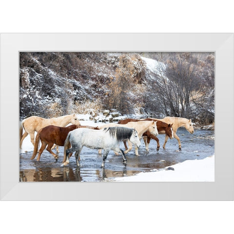USA- Shell- Wyoming. Hideout Ranch horses in reflection Shell Creek.  White Modern Wood Framed Art Print by Gulin, Darrell