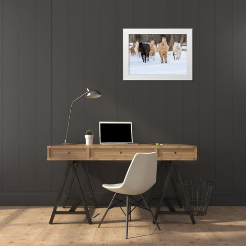 USA- Shell- Wyoming. Hideout Ranch with small herd of horses in snow.  White Modern Wood Framed Art Print by Gulin, Darrell