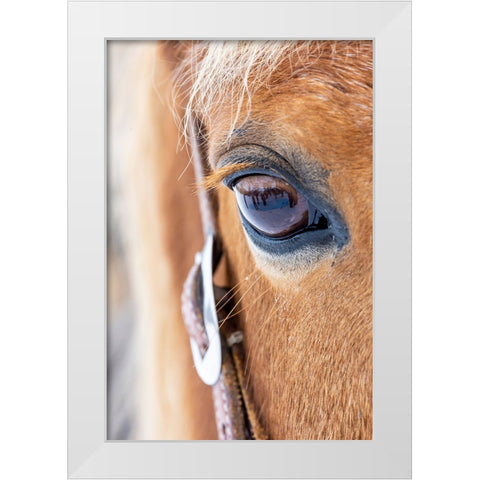 USA- Shell- Wyoming. Hideout Ranch close-up of horses eye.  White Modern Wood Framed Art Print by Gulin, Darrell