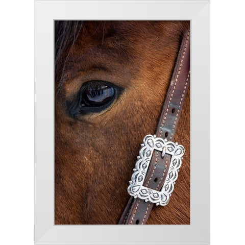 USA- Shell- Wyoming. Hideout Ranch close-up of horses eye.  White Modern Wood Framed Art Print by Gulin, Darrell