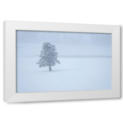 Lone tree White Modern Wood Framed Art Print by Theodore, George and Marilu