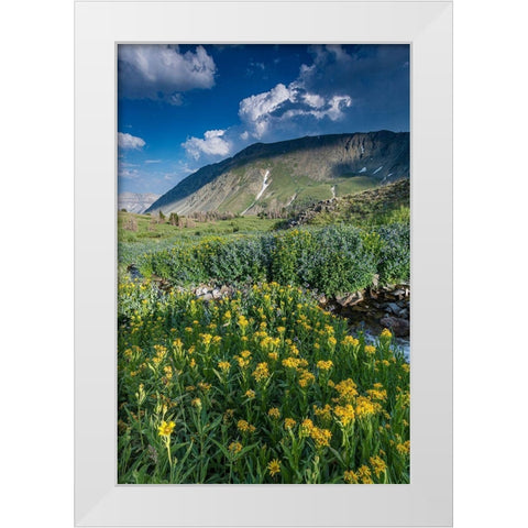 Arnica and bluebell wildflowers next to creek-Absaroka Mountains near Cody and Meeteetse-Wyoming White Modern Wood Framed Art Print by Garber, Howie