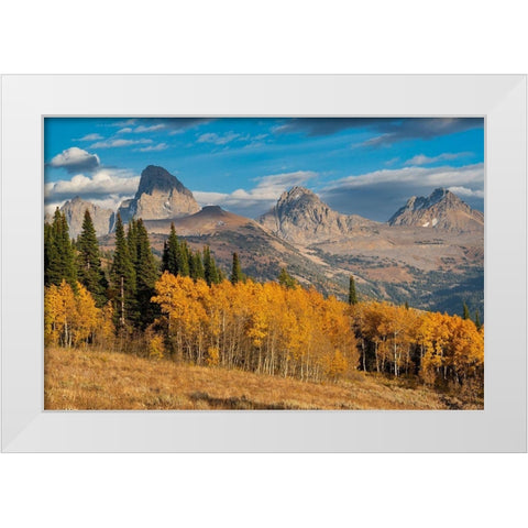 Landscape of Mt Owen-Grand Teton and Middle Teton from the west-golden fall foliage White Modern Wood Framed Art Print by Garber, Howie