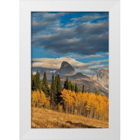 Landscape of Mt Owen-Grand Teton and Middle Teton from the west-golden fall foliage White Modern Wood Framed Art Print by Garber, Howie