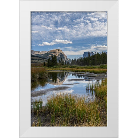 USA-Wyoming-White Rock Mountain and Squaretop Peak above Green River wetland-Wind River Mountains White Modern Wood Framed Art Print by Garber, Howie