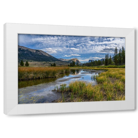 USA-Wyoming-White Rock Mountain and Squaretop Peak above Green River wetland White Modern Wood Framed Art Print by Garber, Howie