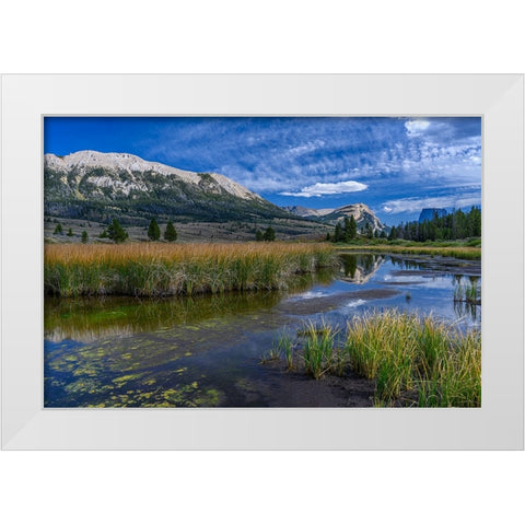 USA-Wyoming-White Rock Mountain and Squaretop Peak above Green River wetland White Modern Wood Framed Art Print by Garber, Howie