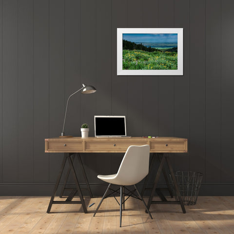 USA-Wyoming-Wildflowers and view of Teton Valley-Idaho-summer-Caribou-Targhee National Forest White Modern Wood Framed Art Print by Garber, Howie