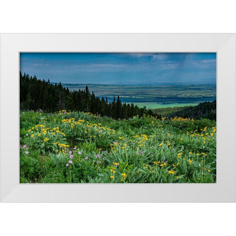 USA-Wyoming-Wildflowers and view of Teton Valley-Idaho-summer-Caribou-Targhee National Forest White Modern Wood Framed Art Print by Garber, Howie