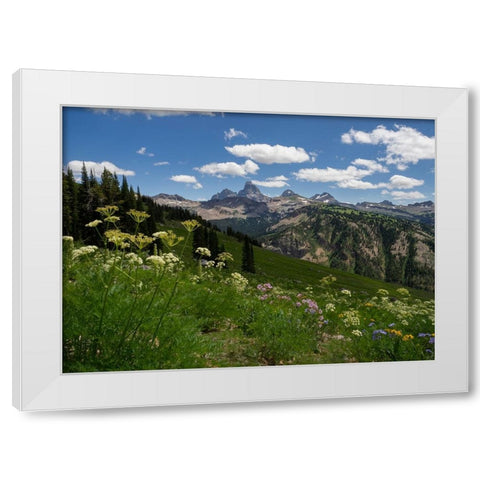 USA-Wyoming-Meadow filled with wildflowers in front of Grand Teton-Teton Mountains from west in Jed White Modern Wood Framed Art Print by Garber, Howie