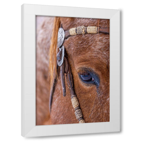 USA- Wyoming. Hideout Horse Ranch- horse detail.  White Modern Wood Framed Art Print by Looney, Hollice