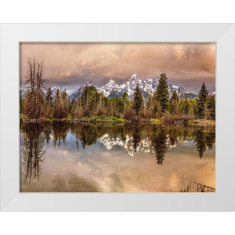 Schwabacher Landing-Tetons-Wyoming White Modern Wood Framed Art Print by Ford, John
