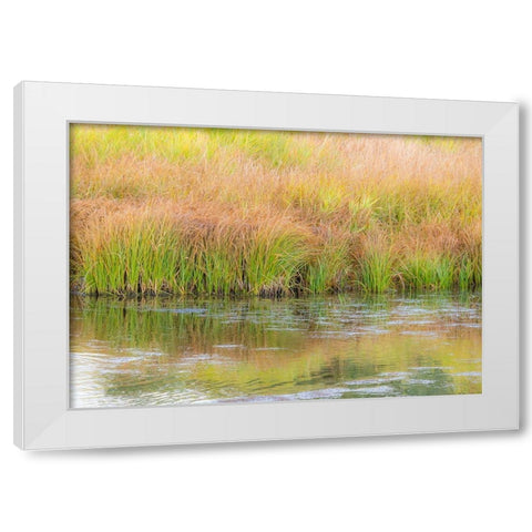 Wyoming-Grand Tetons National Park waters edge Snake River and golden grasses reflected in water White Modern Wood Framed Art Print by Gulin, Sylvia