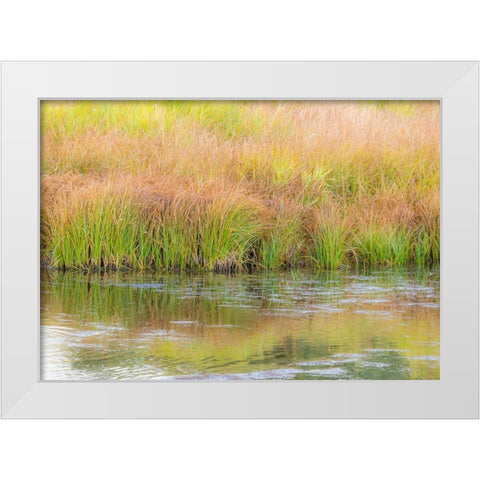 Wyoming-Grand Tetons National Park waters edge Snake River and golden grasses reflected in water White Modern Wood Framed Art Print by Gulin, Sylvia