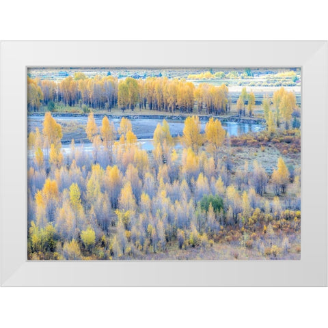 Wyoming-Buffalo Fork River and Cottonwoods in fall color White Modern Wood Framed Art Print by Gulin, Sylvia
