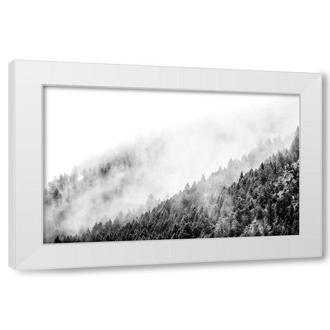 Wyoming-Hoback-clouds intermingling with evergreens on rainy morning in black and white White Modern Wood Framed Art Print by Gulin, Sylvia