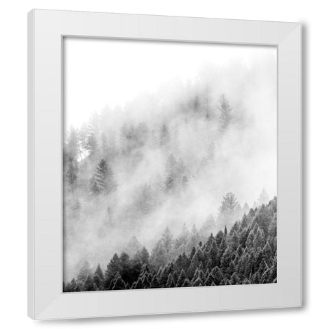 Wyoming-Hoback-clouds intermingling with evergreens on rainy morning in black and white White Modern Wood Framed Art Print by Gulin, Sylvia