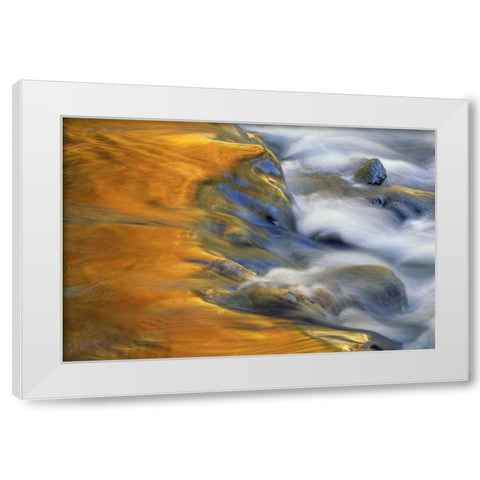 Northeast, Fall reflections on stream rapids White Modern Wood Framed Art Print by Rotenberg, Nancy