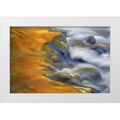 Northeast, Fall reflections on stream rapids White Modern Wood Framed Art Print by Rotenberg, Nancy
