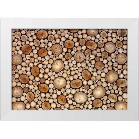 Circles White Modern Wood Framed Art Print by Ianeva, Aida