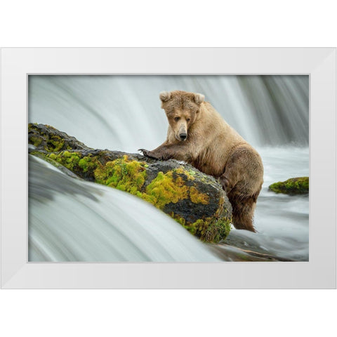 Left Wanting White Modern Wood Framed Art Print by Doyle, Renee