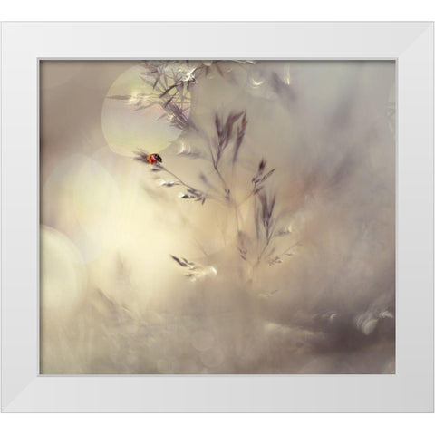 Little Lady White Modern Wood Framed Art Print by Westum, Heidi