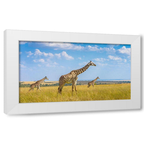 Trio Giraffes White Modern Wood Framed Art Print by Alfraid, Husain