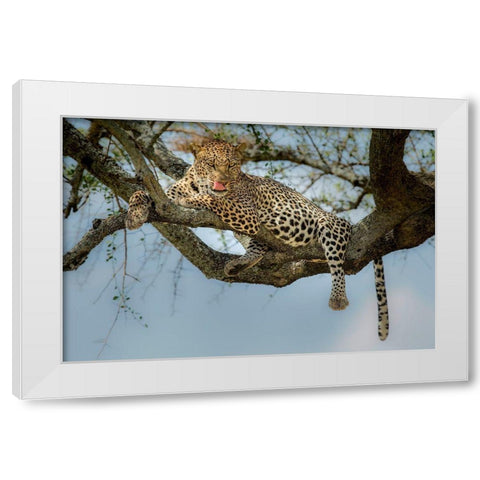 How Tasty You Are! White Modern Wood Framed Art Print by Nadoum, Khaleel