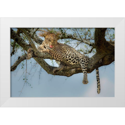 How Tasty You Are! White Modern Wood Framed Art Print by Nadoum, Khaleel