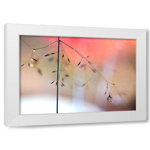 Morning Glow White Modern Wood Framed Art Print by Westum, Heidi