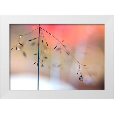 Morning Glow White Modern Wood Framed Art Print by Westum, Heidi