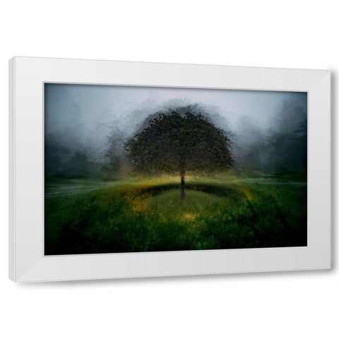 Eden Place White Modern Wood Framed Art Print by Malovrh, Milan