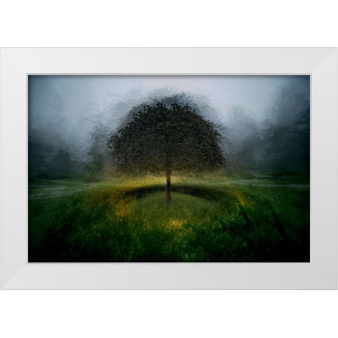 Eden Place White Modern Wood Framed Art Print by Malovrh, Milan