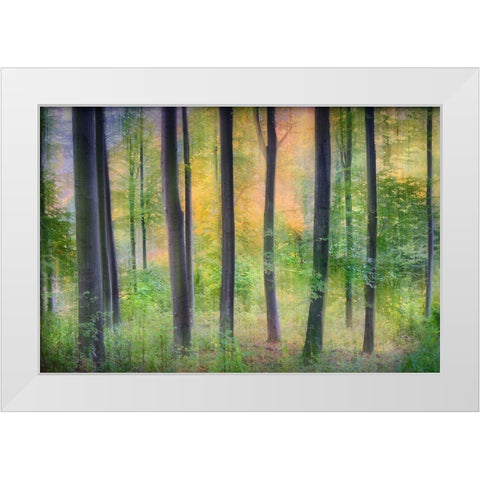 Dreamy White Modern Wood Framed Art Print by Jochen, Burger