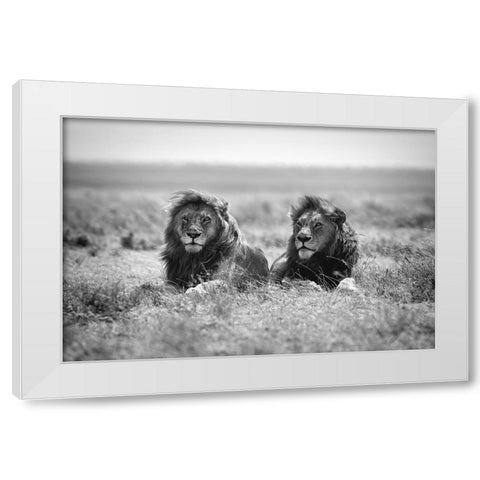 Two kings White Modern Wood Framed Art Print by Merino, Nicolas